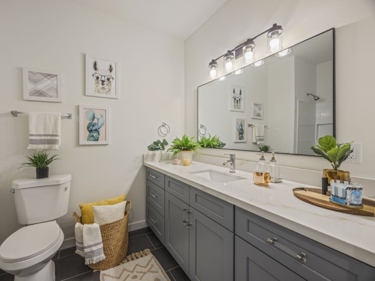 Bathroom Design Ideas